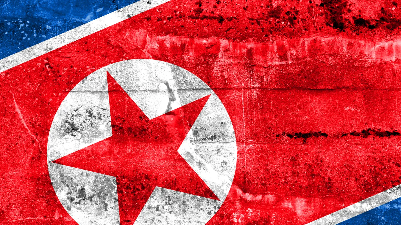 Elengedték az Észak-Koreában őrizetbe vett ausztrál állampolgárt