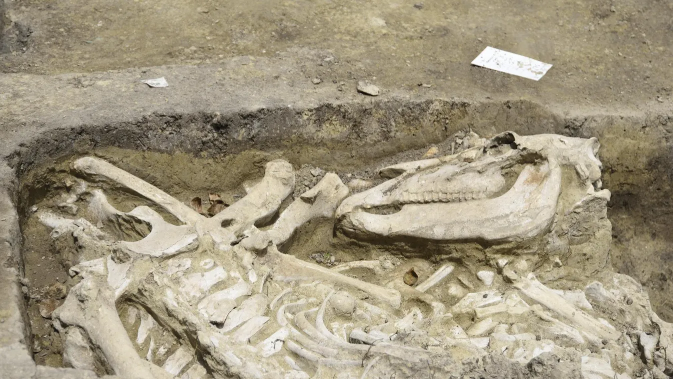 Avar kori fülkesírokat találtak Szegeden