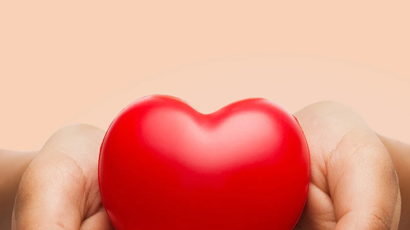 Ökumenikus Segélyszervezet: Hatvanmillió forint gyűlt össze hátrányos helyzetű gyerekekért