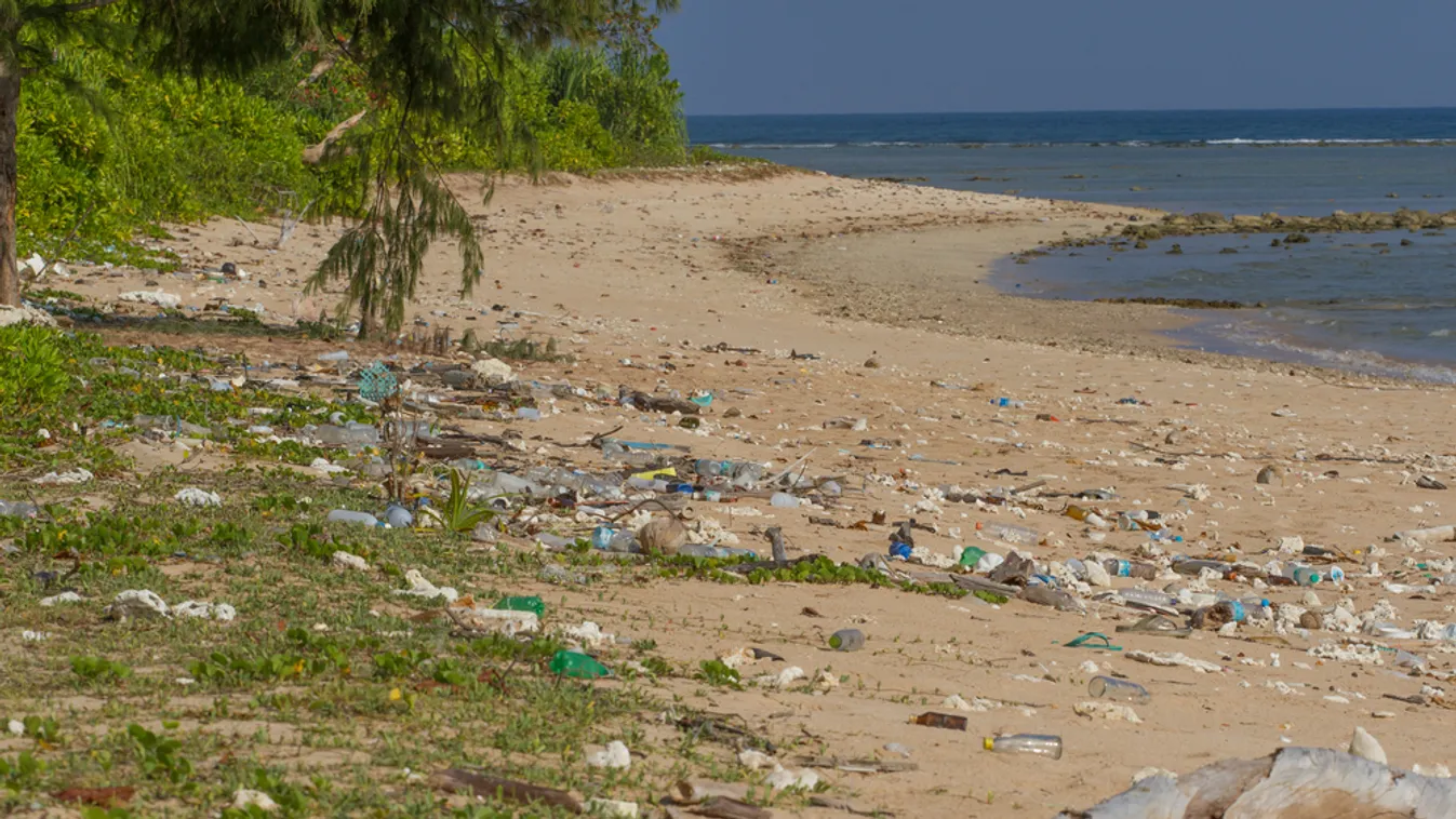 Percenként átlagosan csaknem 34 ezer műanyag palack kerül a Földközi-tengerbe