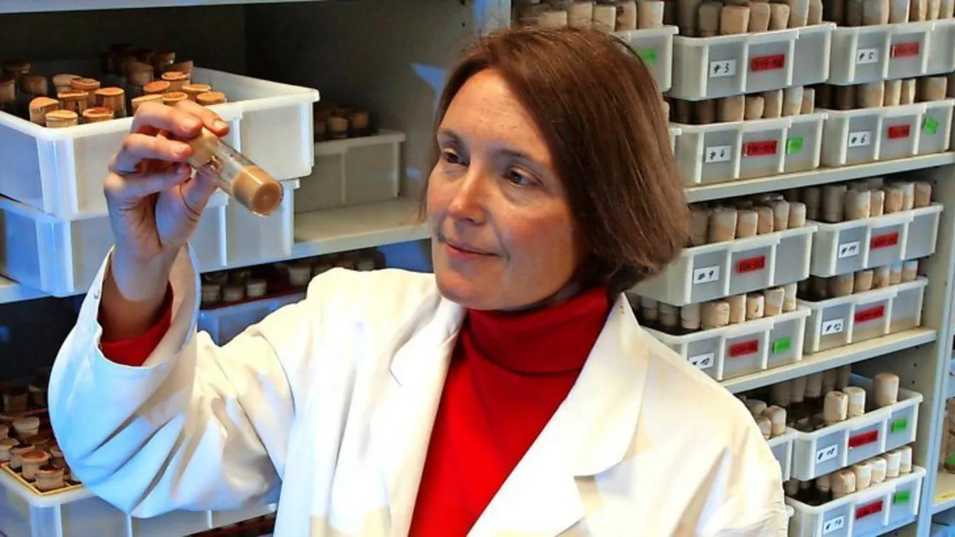 A görög rendőrség egy 27 éves krétai férfit vádol az amerikai tudós megölésével