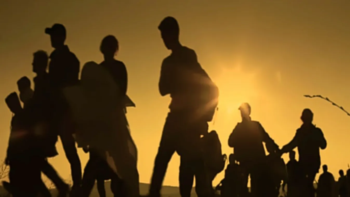 Háromtucatnyi migránst fogtak el a román hatóságok a magyar határ közelében