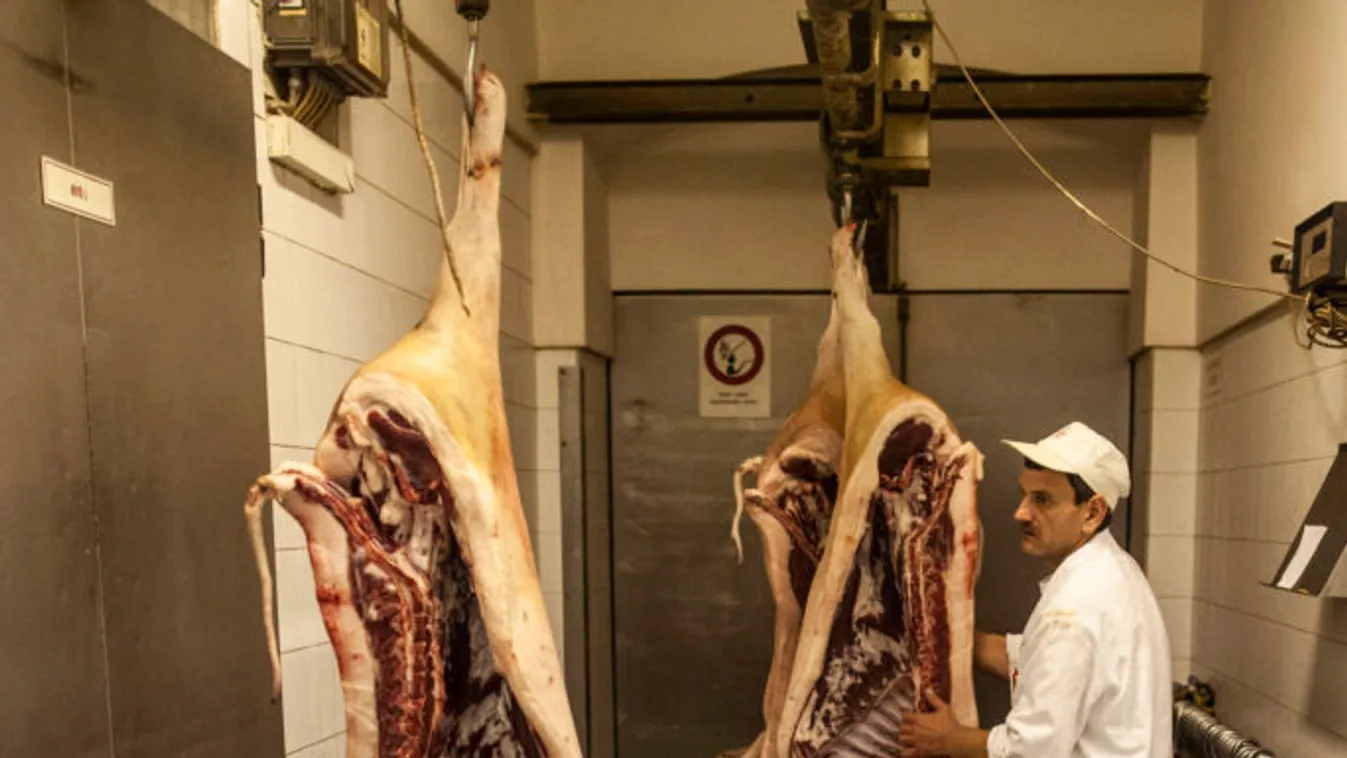 Kevesebb állatot hajtottak vágóhídra az első fél évben