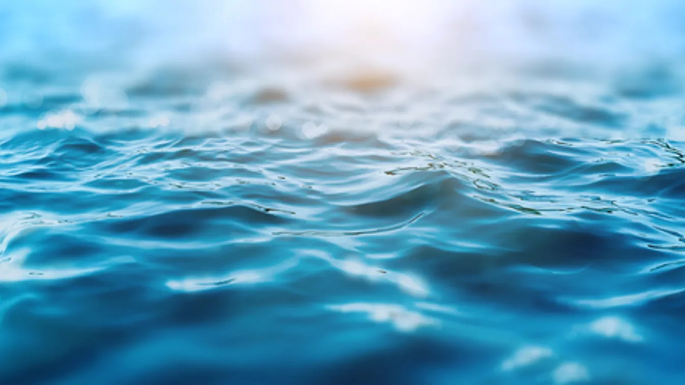 Hét aranyat nyertek a magyarok a tájékozódási búvárúszó Európa-bajnokságon