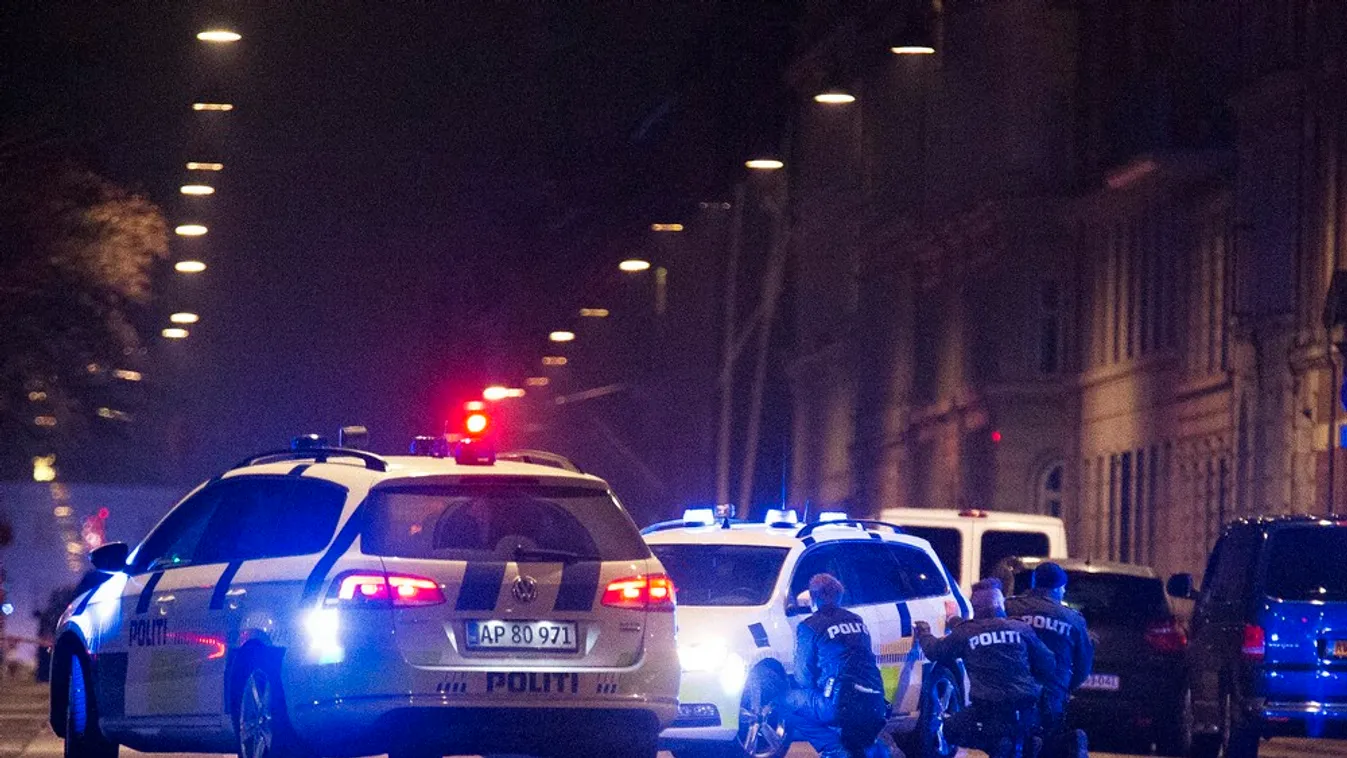 Dánia szigorúbb határellenőrzéseket fontolgat Svédországgal közös határán a koppenhágai robbanás miatt