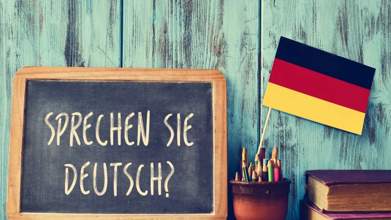 Nem engedné iskolába a németül nem tudó gyerekeket egy vezető CDU-s politikus