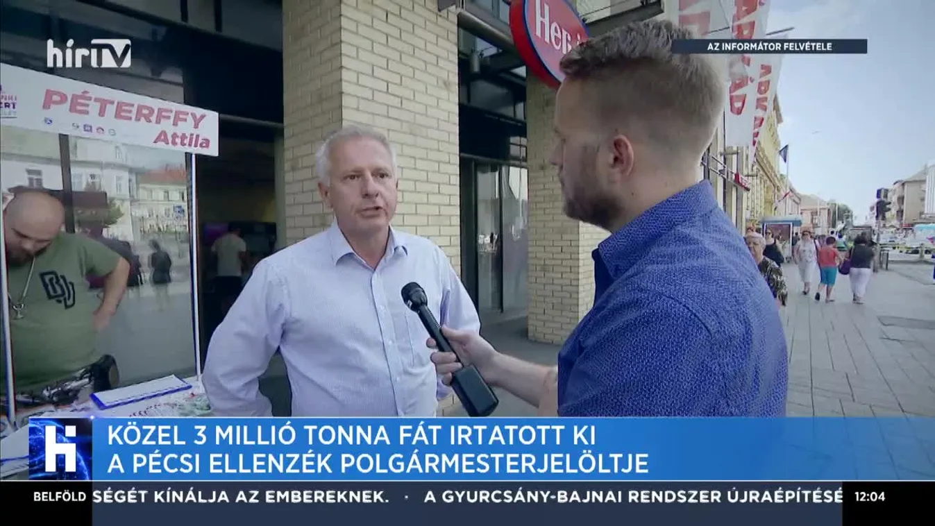 Közel 3 millió tonna fát írtatott ki a pécsi ellenzék polgármesterjelöltje