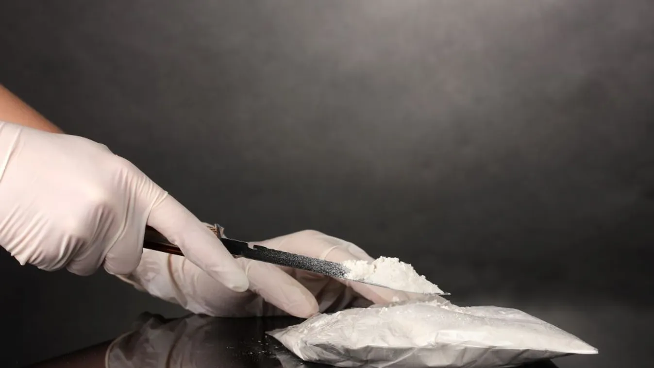 Rekordnagyságú kokainfogás Hamburgban
