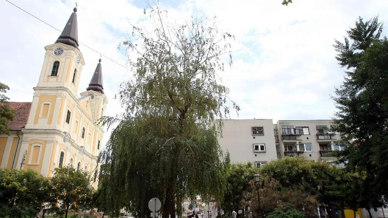 Országos vadpörkölt- és borfesztivált rendeznek Zalaegerszegen