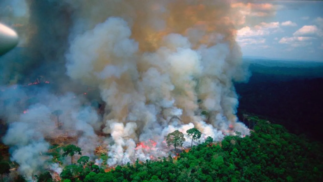 Bolsonaro: Brazília elfogadja a G7-gyorssegélyt, ha Macron visszakozik