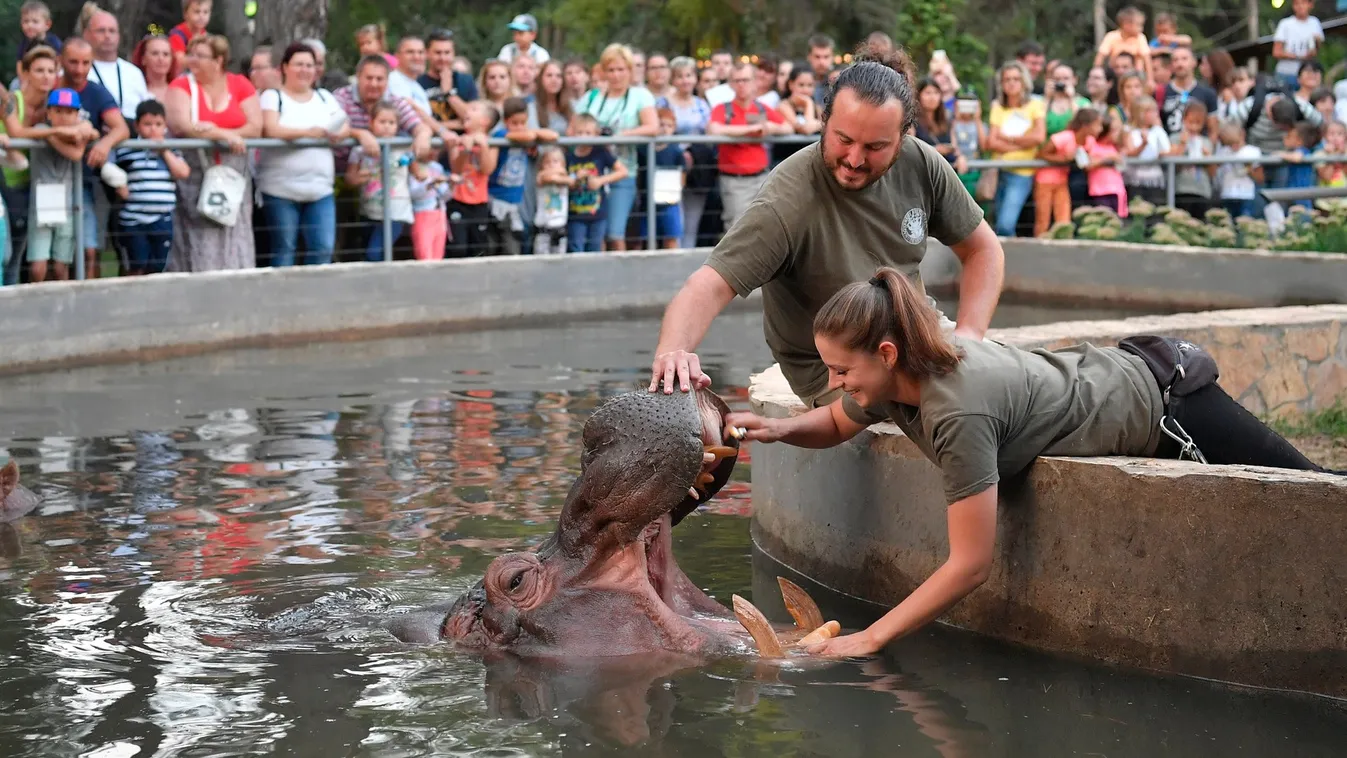 Ma este lesz az Állatkertek éjszakája