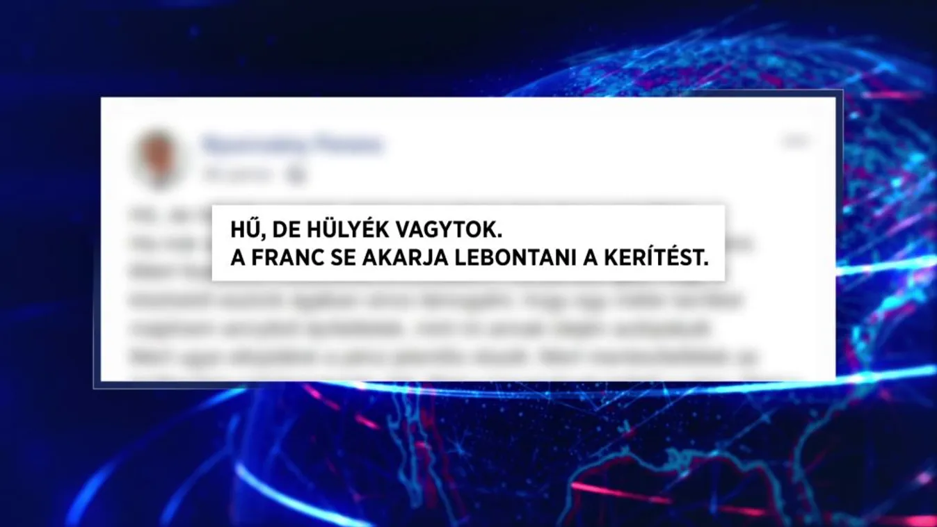 Gyurcsány: Hű, de hülyék vagytok!