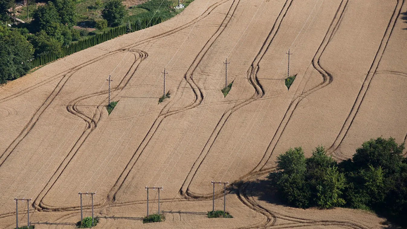 Magasabb árakra várnak a gabonatermesztők