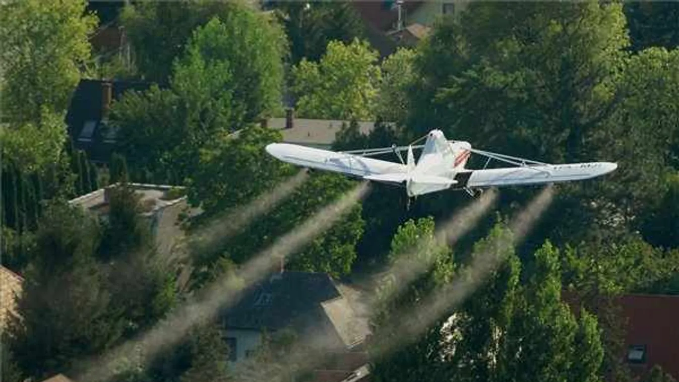 A nagyobb tavaknál és a fővárosban is irtanak szúnyogot a héten