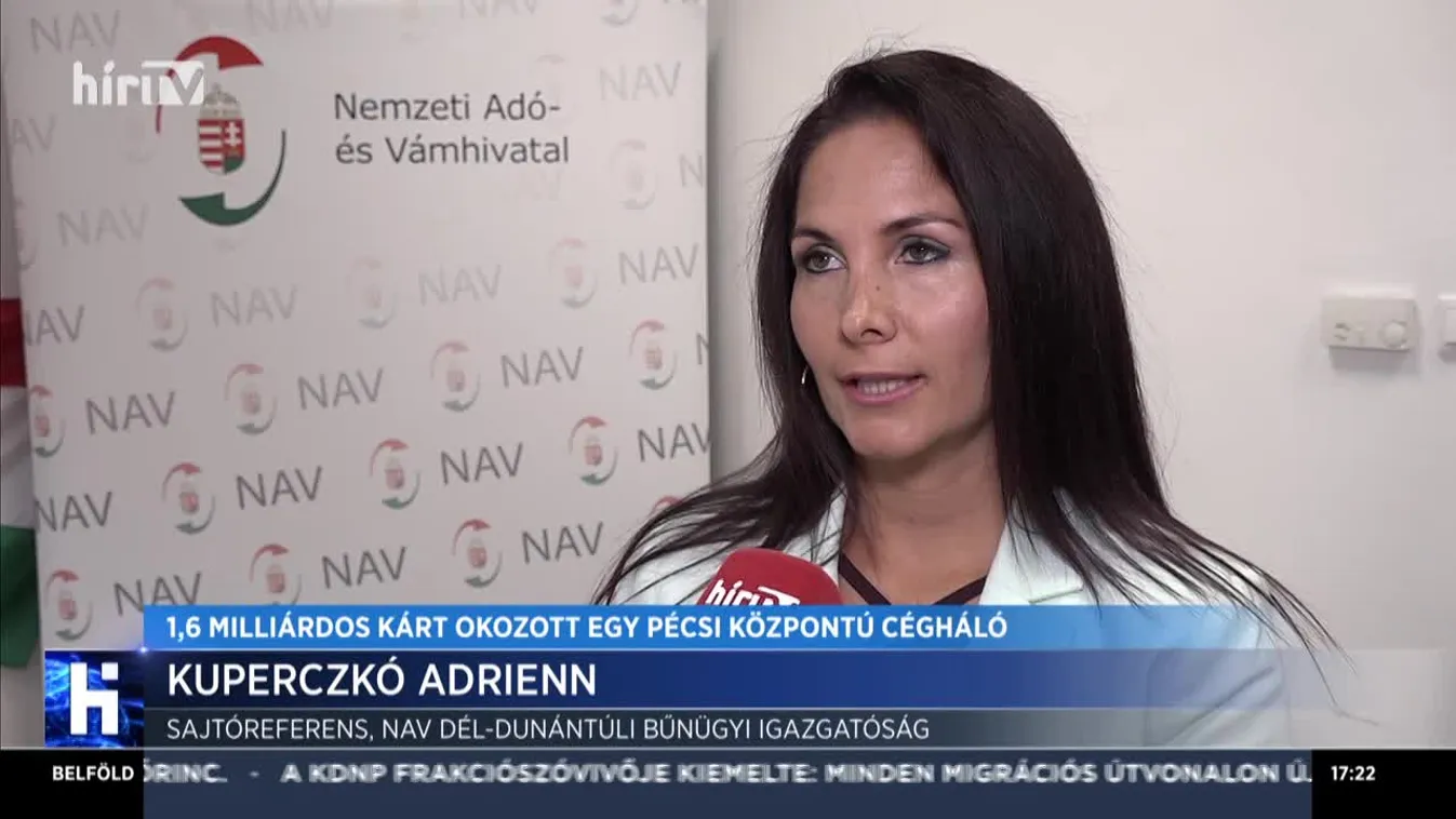 1,6 milliárdos kárt okozott egy pécsi központú cégháló