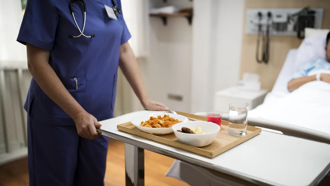 Szalmonellafertőzés okozta a hajdúsámsoni gyerekek tömeges megbetegedését