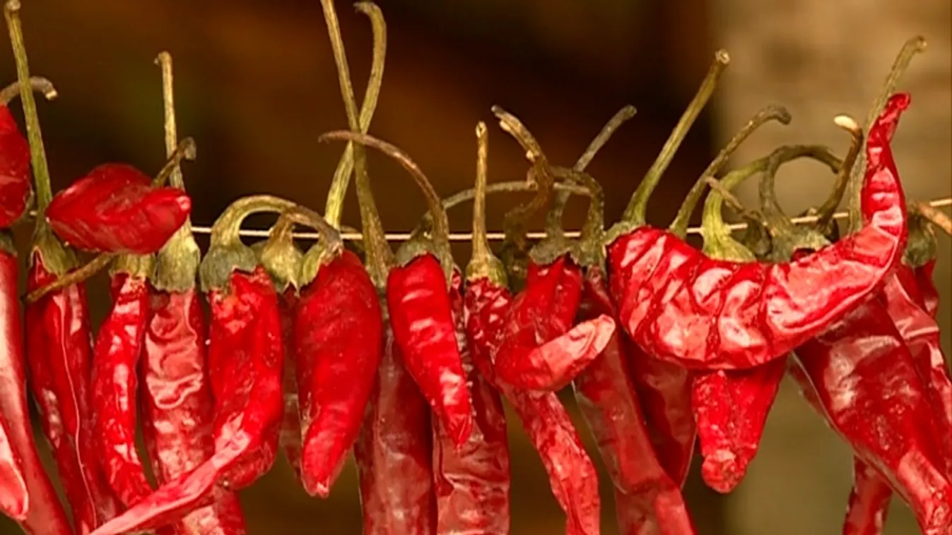 Nagy István: számíthatnak a magyar kormány segítségére a paprikatermesztők