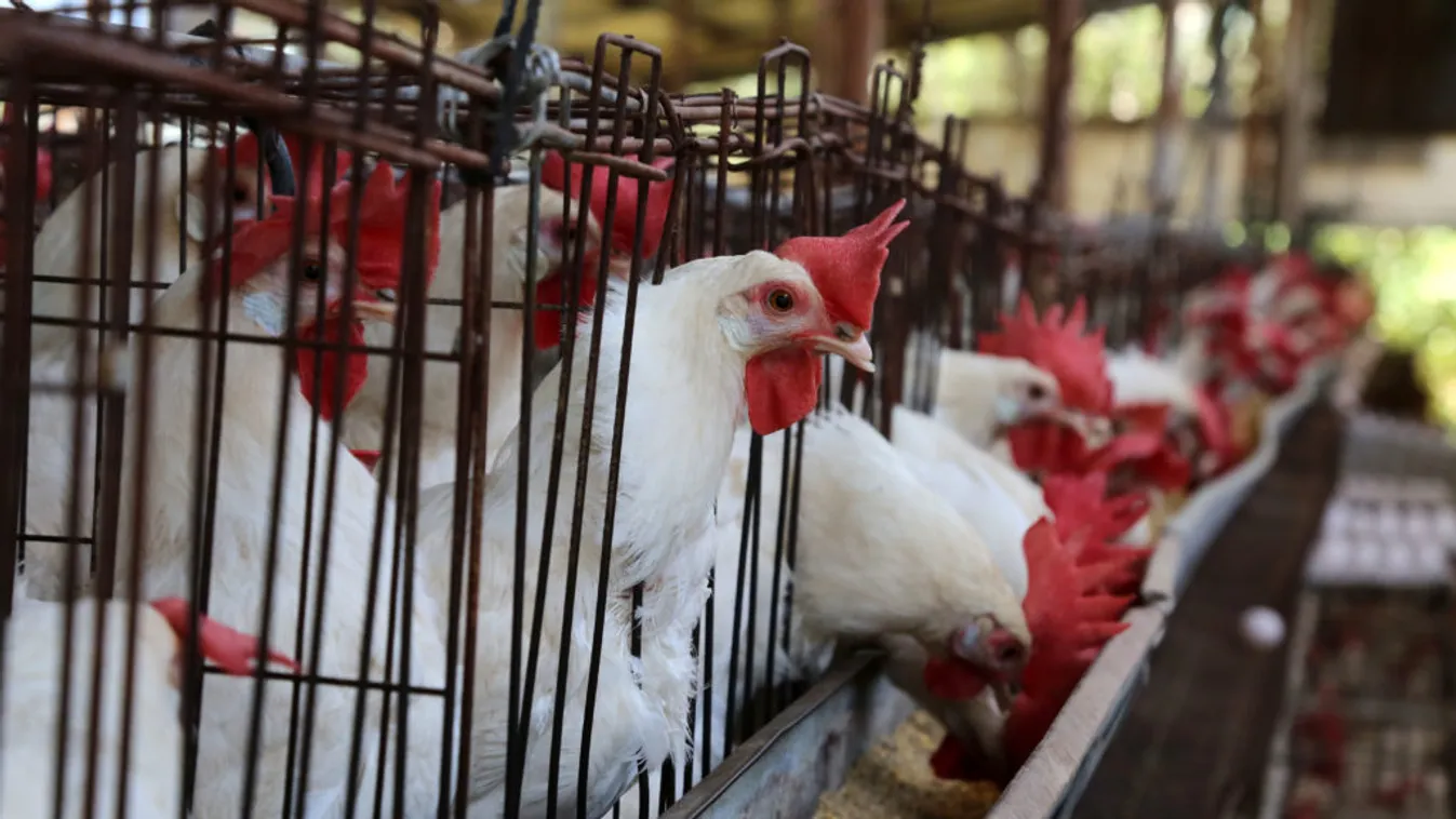 Szijjártó Péter a magyar-kubai gazdasági együttműködésről egyeztetett