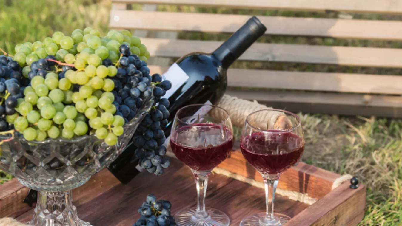 Négy nemzet férfi énekesei lépnek fel a 23. Európai Bordalfesztiválon