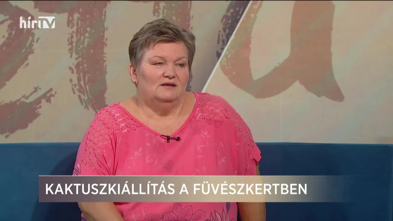 Paletta (2019-09-02)