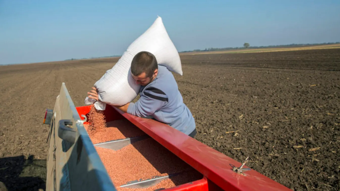 Ellenálló vetőmagokra van szükség