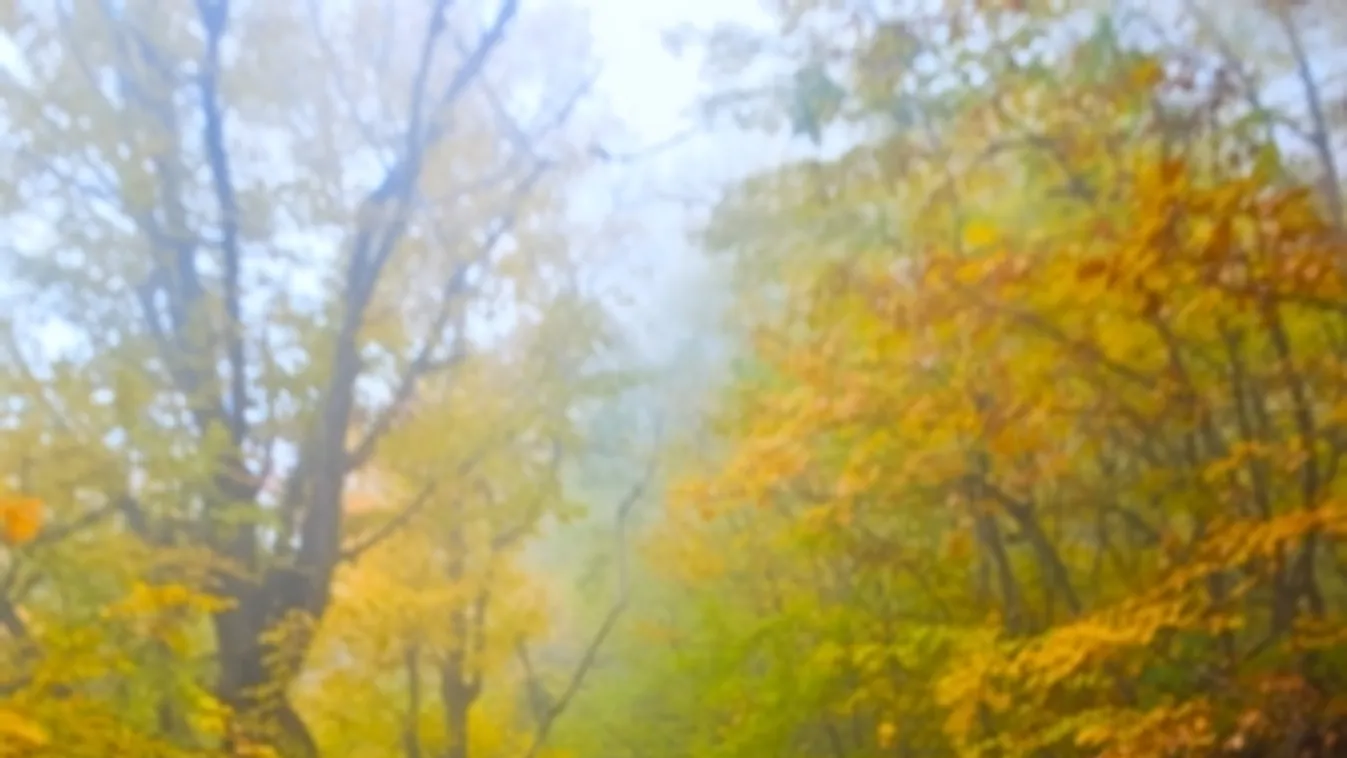 Mintegy 10 fokos lehűlés várható a hét közepén