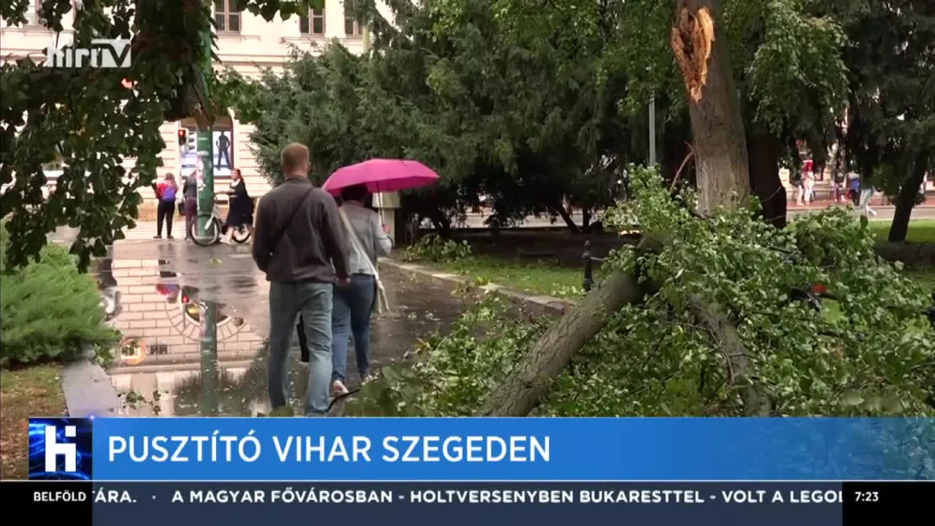 Életveszélyessé vált a szegedi jogi kar épülete