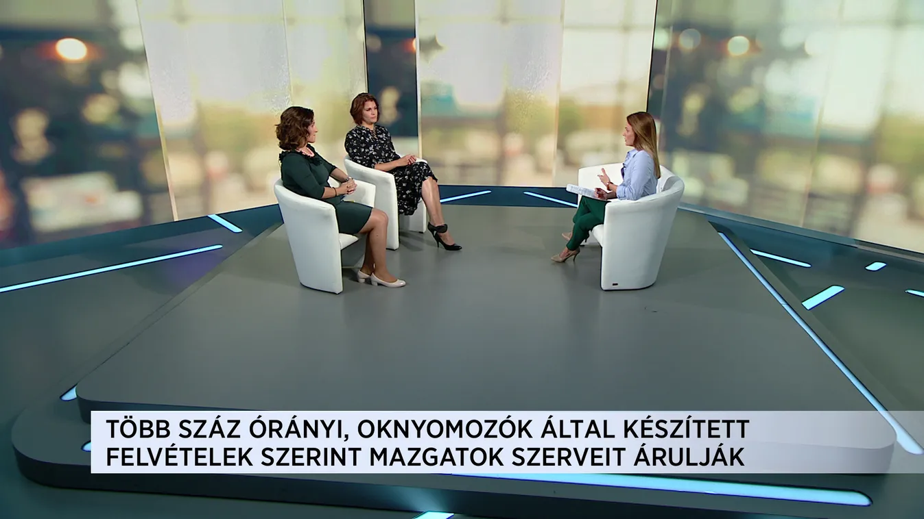 Terc: Már a magzatok dobogó szívét is árulja az embrionális szervkereskedelem