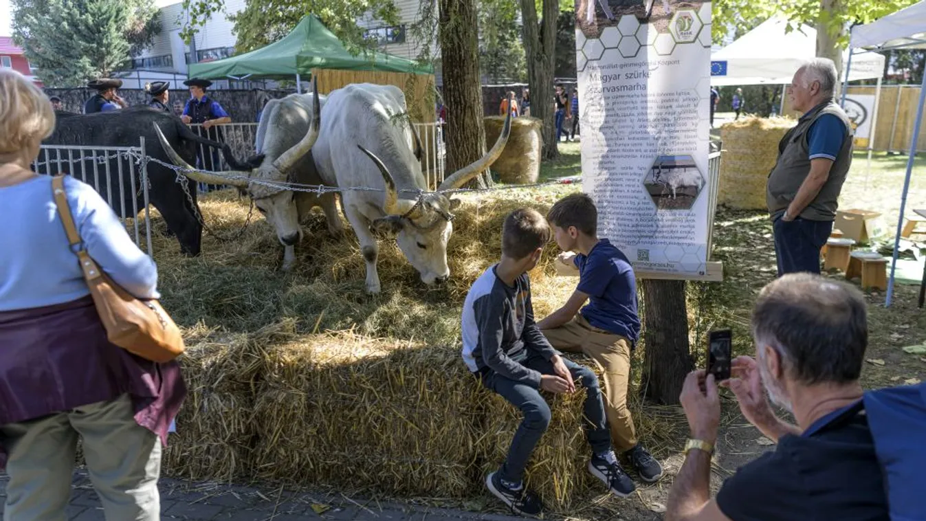 Több mint 85 ezer látogatója volt az idei OMÉK-nak