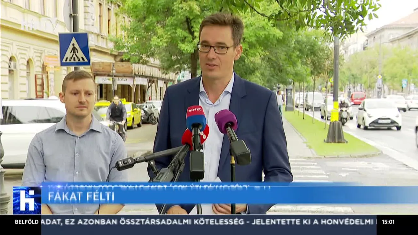 Karácsony az Andrássy úti fákat félti, közben fák tucatjait vágatta ki a Pillangó parkban