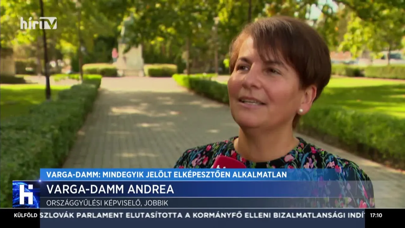 Varga-Damm: Mindegyik jelölt elképesztően alkalmatlan