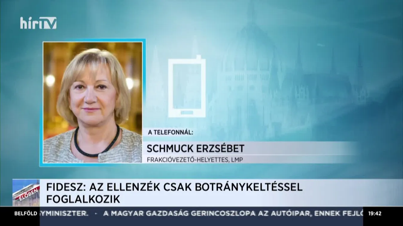 Schmuck Erzsébet: Minden egyes országnak megvan a teendője