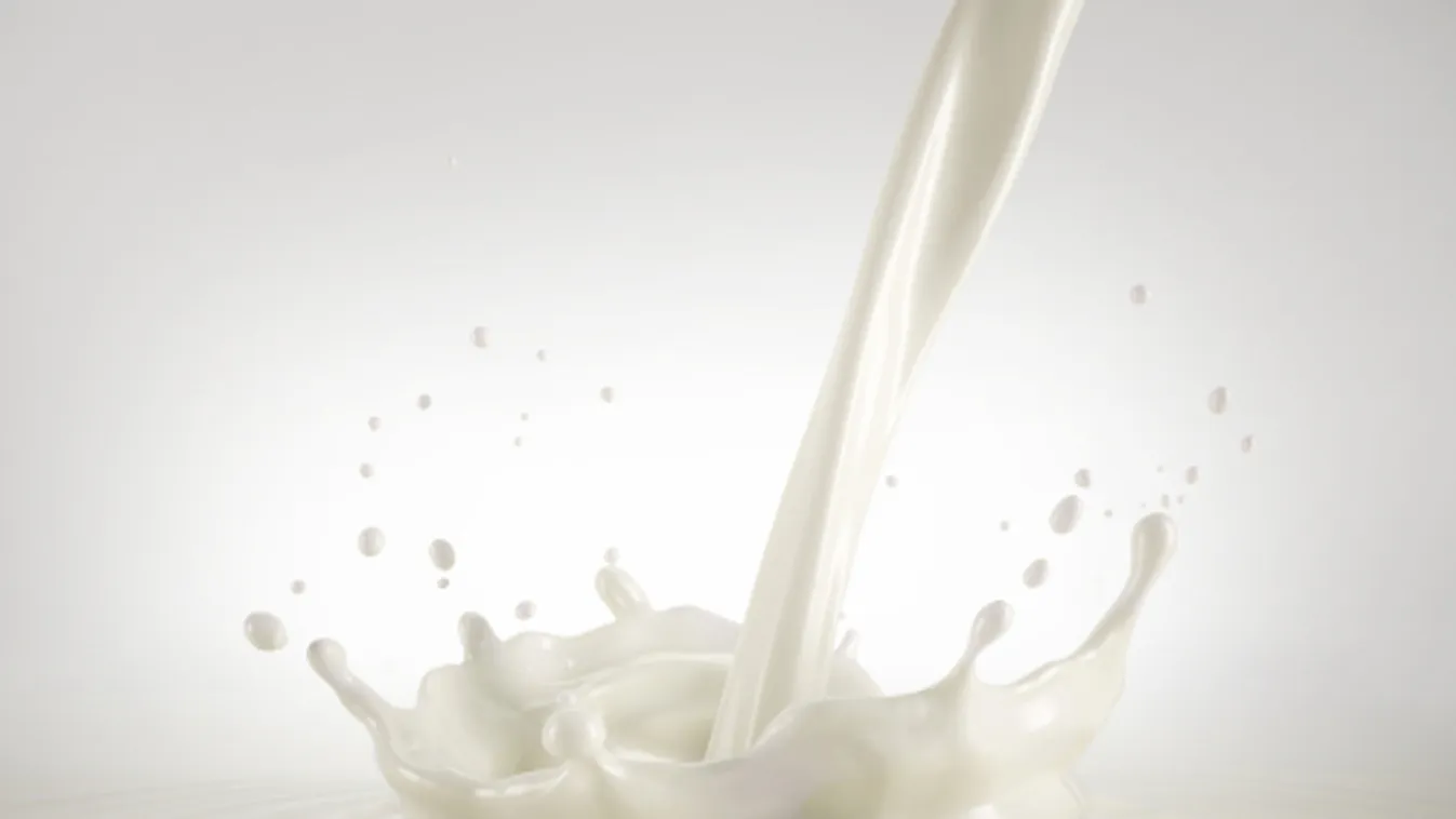Szennyezettség miatt visszahívta egy friss tej termékét Németország legnagyobb tejfeldolgozója