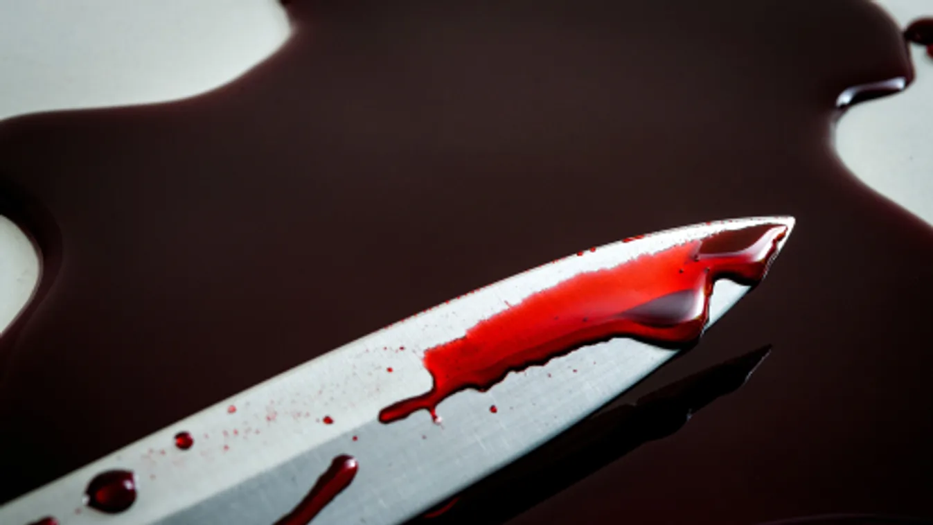 Radikális iszlamista nézeteket vallott a párizsi késelő