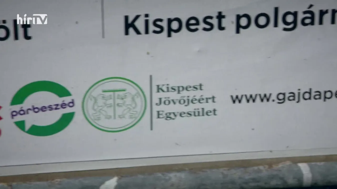 Bayer show (2019-10-06)