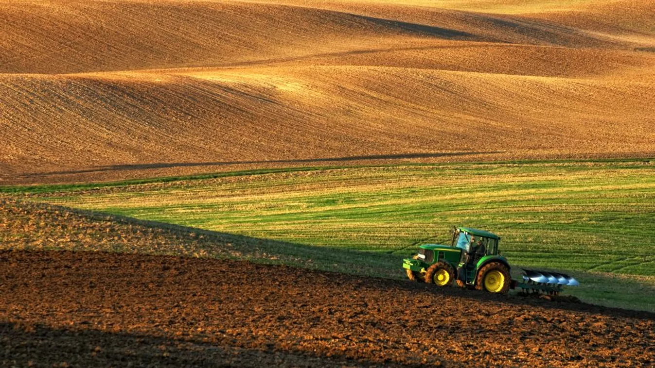 Nagy István: A fiatalok bekapcsolódása az agráriumba nélkülözhetetlen