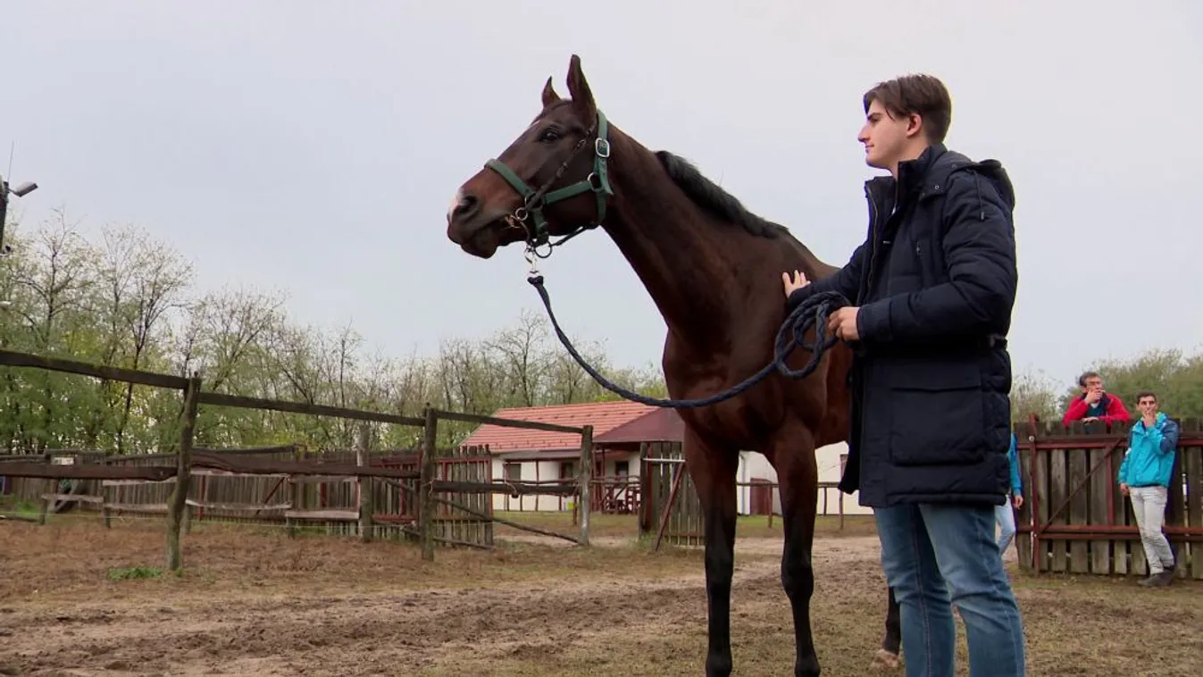Történelmi sikert ért el az új magyar csodaló