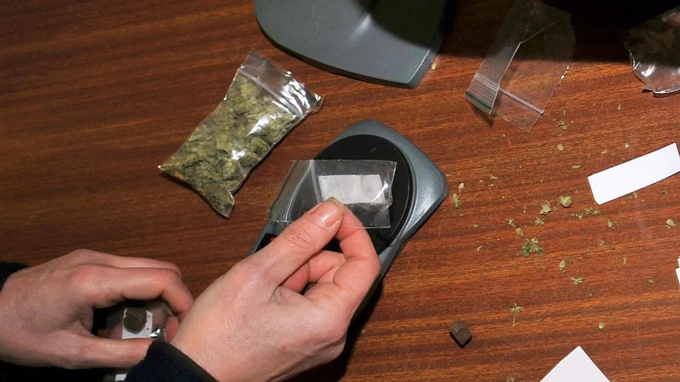 Mintegy 20 millió forintnyi marihuánát találtak egy fővárosi apánál és fiánál