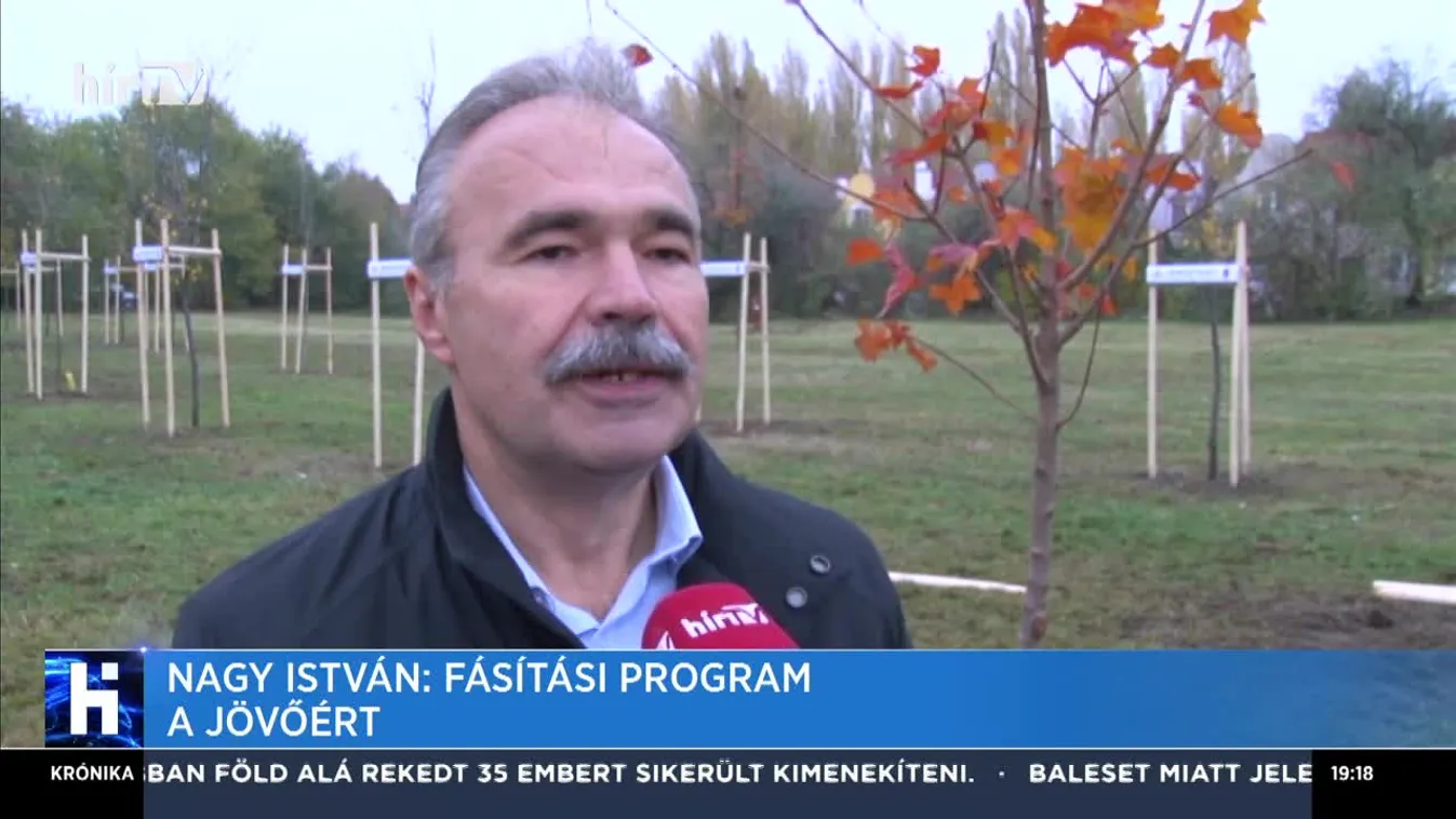 Nagy István: Fásítási programmal egy fenntarthatóbb világért