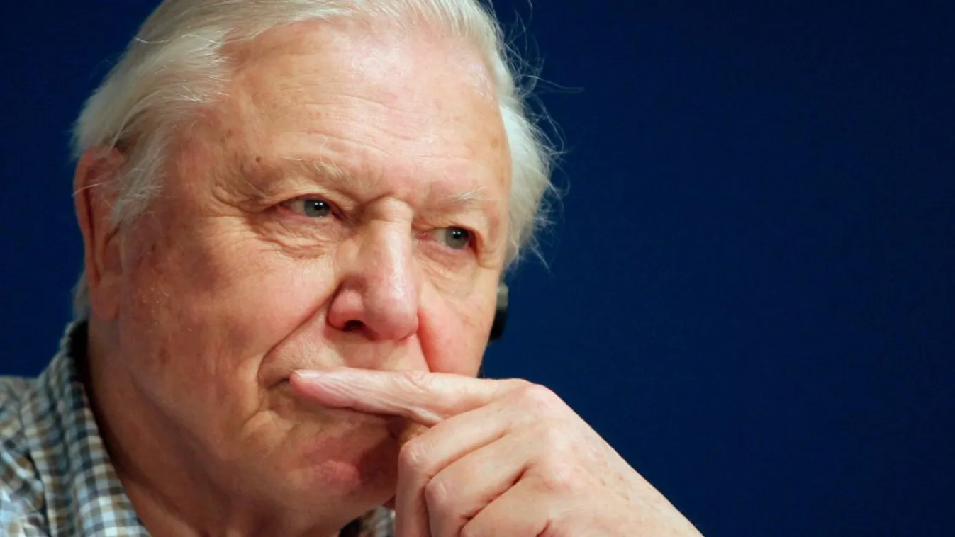 II.Erzsébet királynő kitüntette David Attenborough-t az óceánszennyezés elleni harcáért