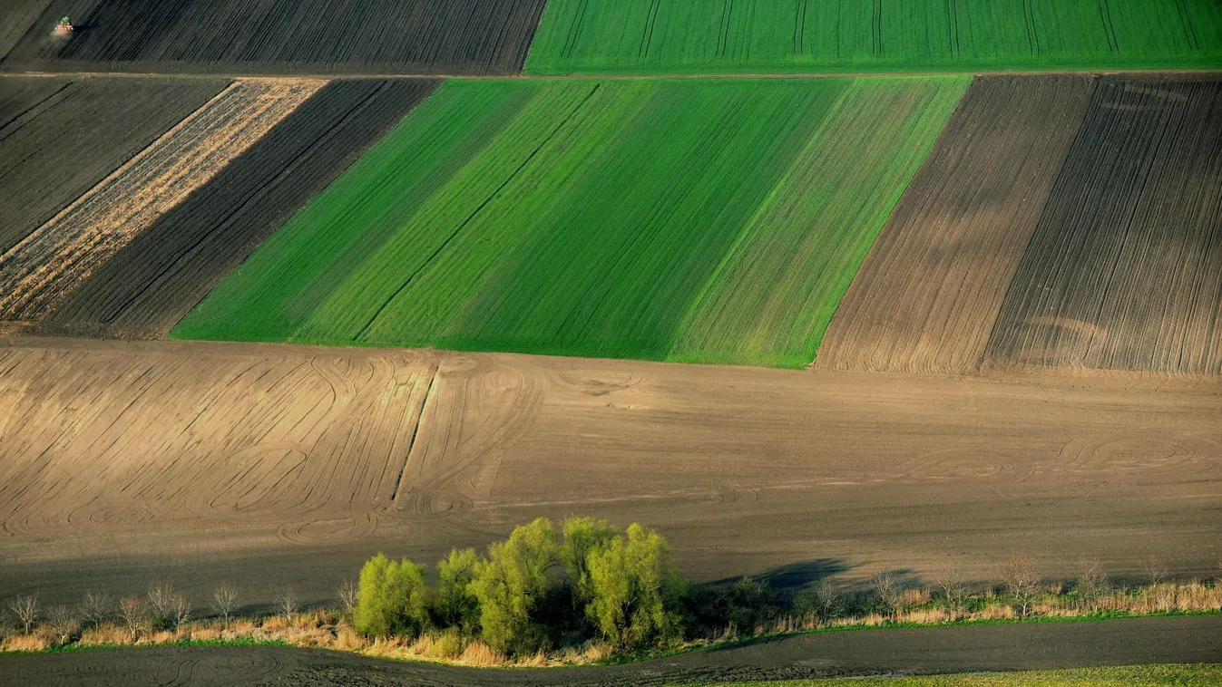 Stratégiai megállapodást kötött az agrártárca és a Nemzeti Agrárgazdasági Kamara