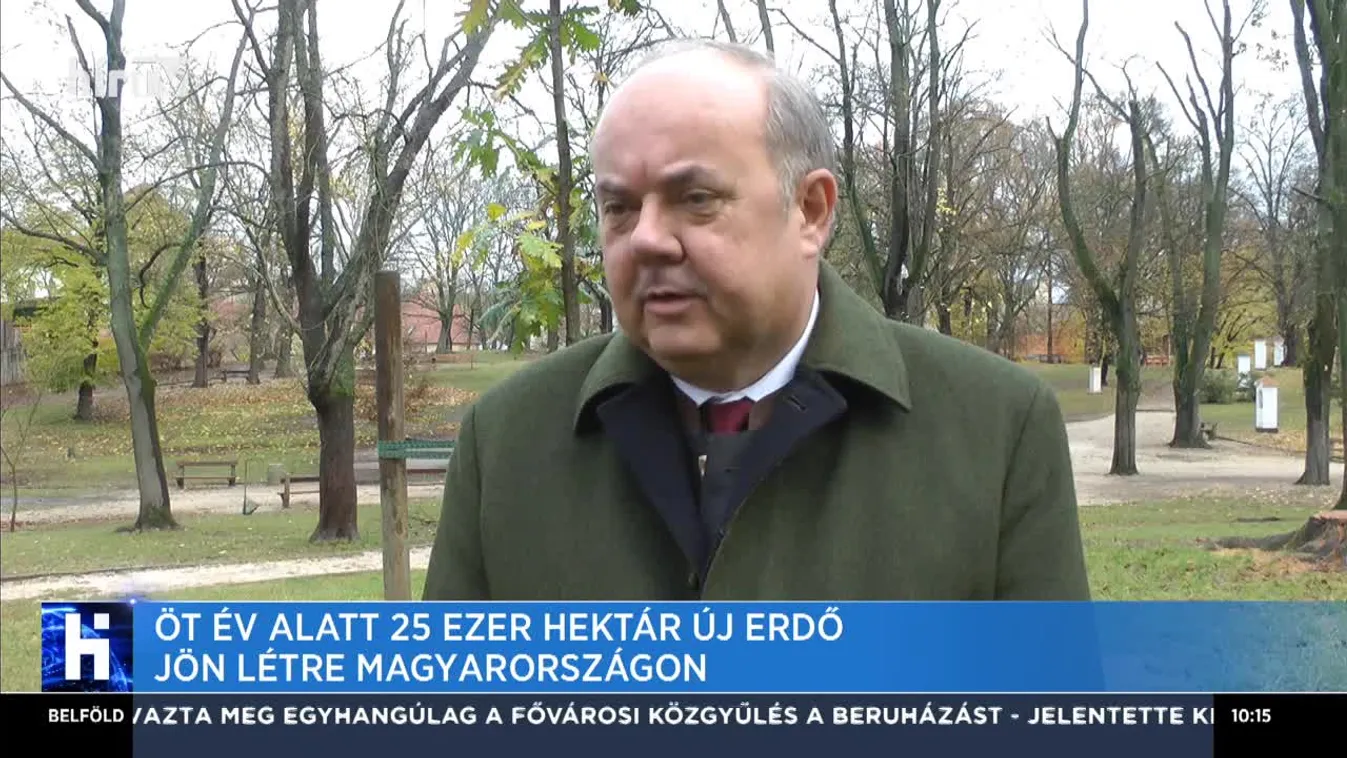 Öt év alatt 25 ezer hektár új erdő jön létre Magyarországon