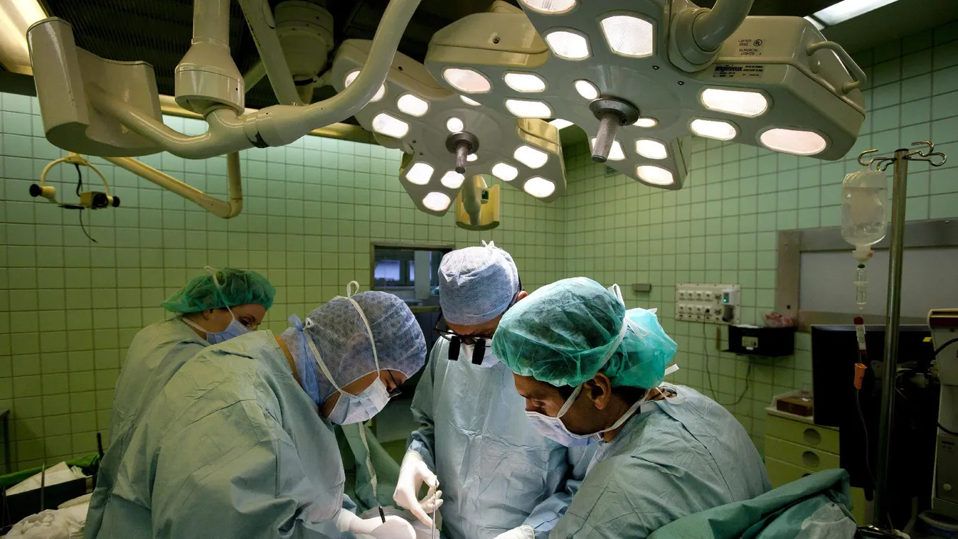 Palkovics: A Semmelweis előrelépése a klinikai gyakorlaton alapuló felsőoktatás sikere