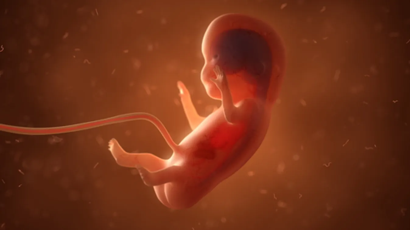 Az ohiói orvosoknak meg kell menteniük a méhen kívüli terhesség magzatát