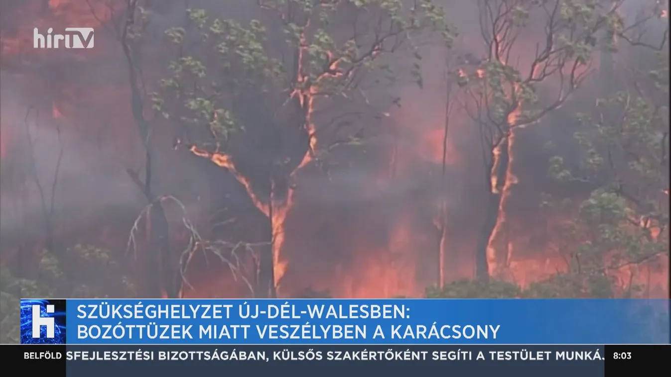 Szükséghelyzet Új-Dél-Walesben: Bozóttüzek miatt veszélyben a karácsony