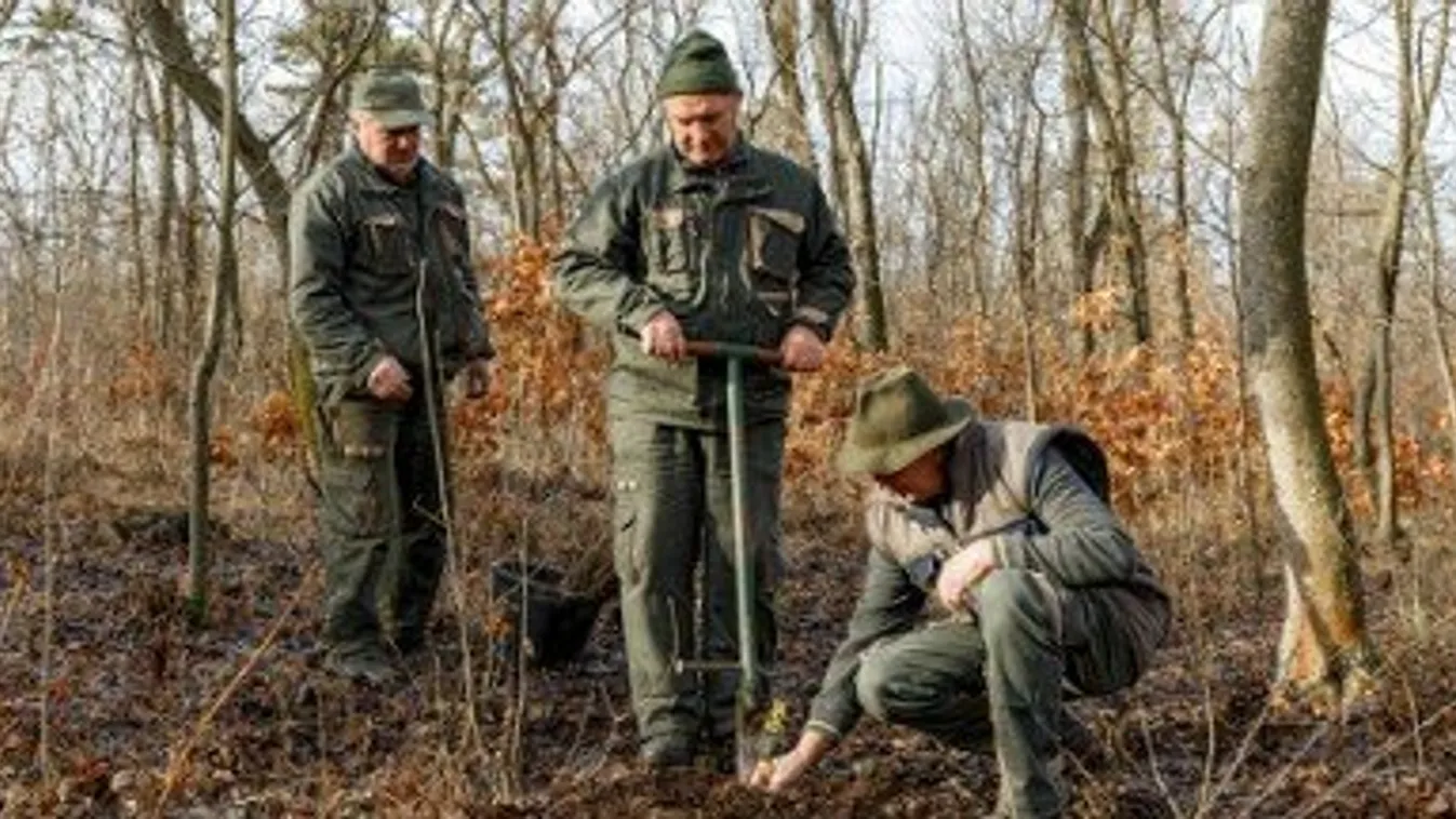 Az Országos Erdészeti Egyesület ezer fát ültet gyerekekkel közösen a fővárosban