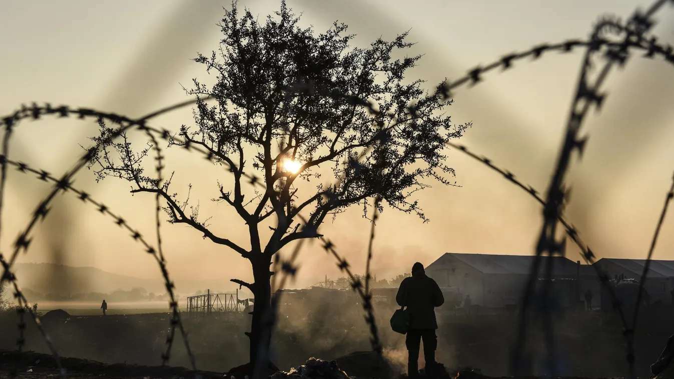 Századvég: Jelentősen nőtt a migrációs nyomás Magyarországra