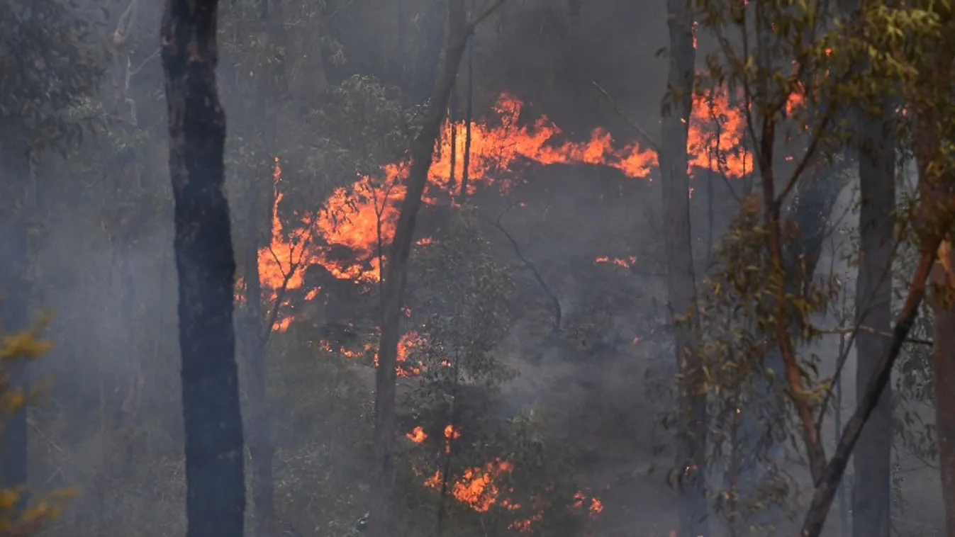 Ausztrál orvosok közegészségügyi vészhelyzet kihirdetését kérik a kormánytól