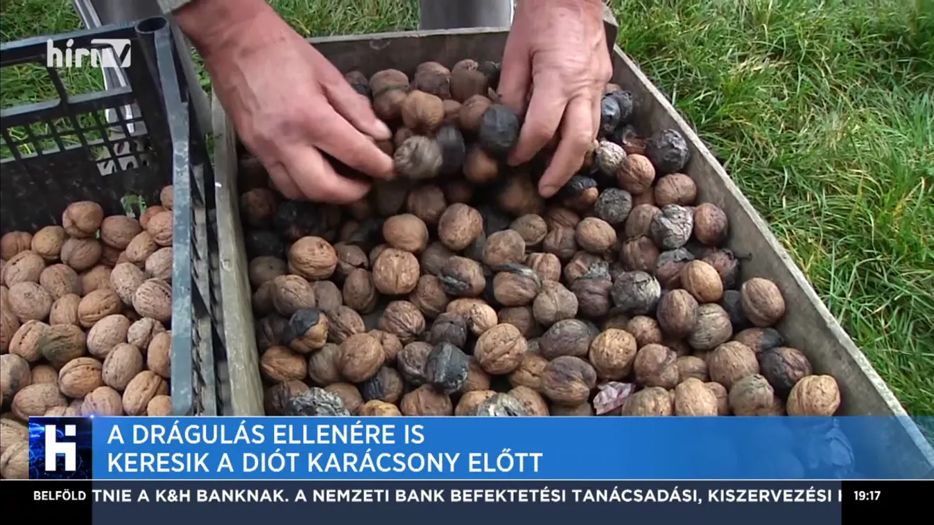 A drágulás ellenére is keresik a diót karácsony előtt