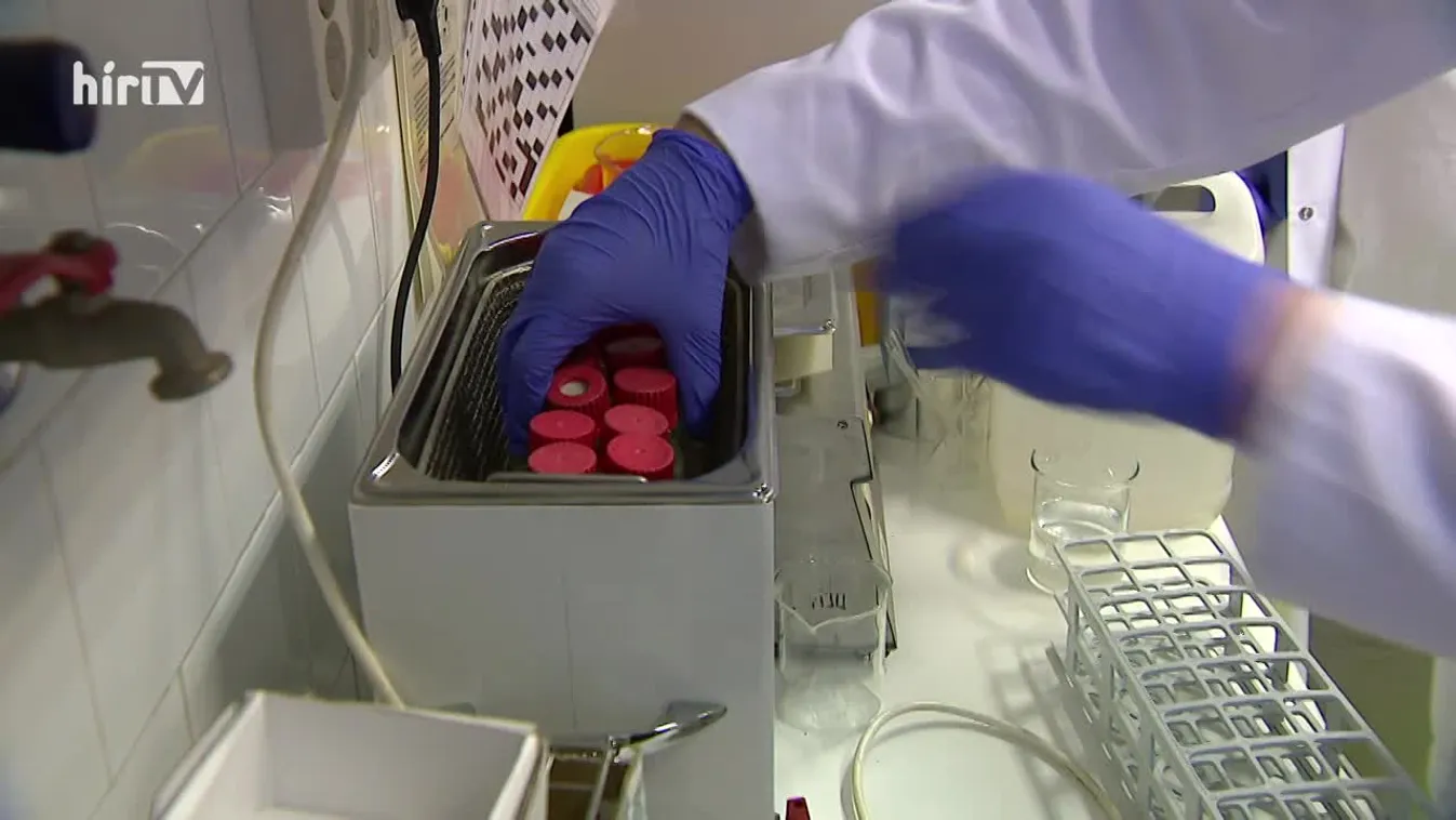 Panaszkönyv: Csodaszerek a netről